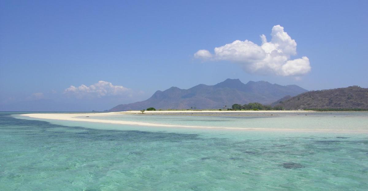 Waiara Village Guesthouse Maumere Bagian luar foto
